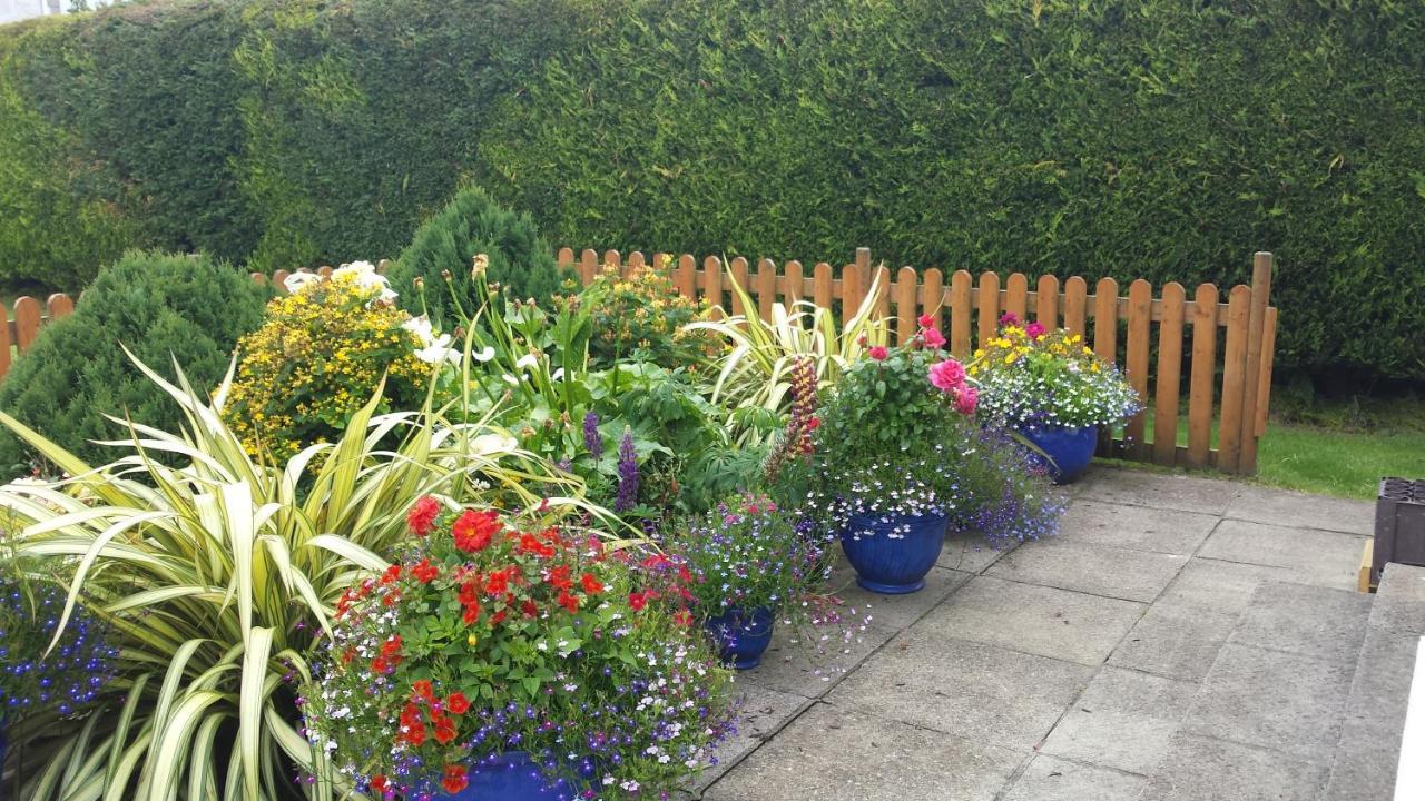 Riverwalk House B&B Oughterard Exteriör bild
